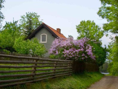 Zdjęcia z naszych spływów kajakowych - konkurs-2006-rozstrzygniety