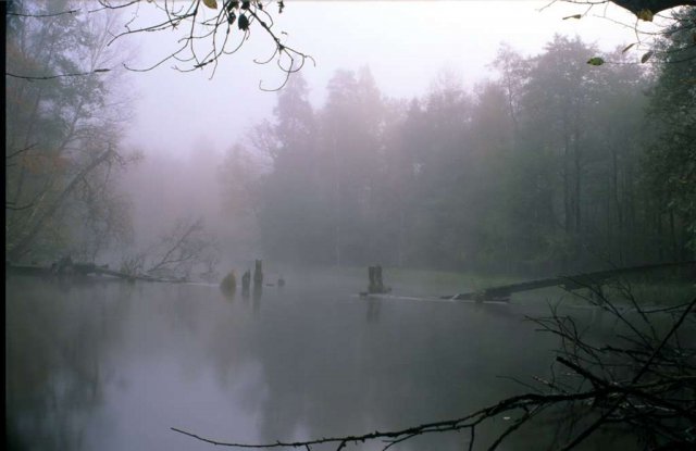 Brak tytułu