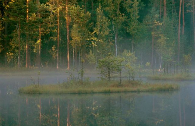 Brak tytułu