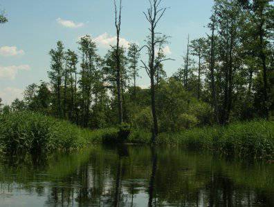 Zdjęcia z naszych spływów kajakowych - krajobrazy