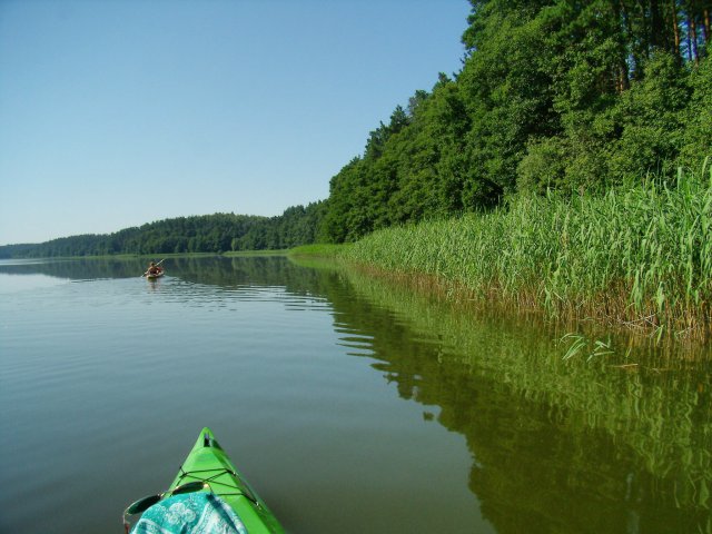 Brak tytułu