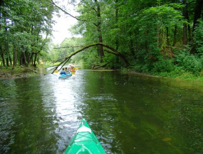 Zdjęcia z naszych spływów kajakowych - splyw-krutynia-2007