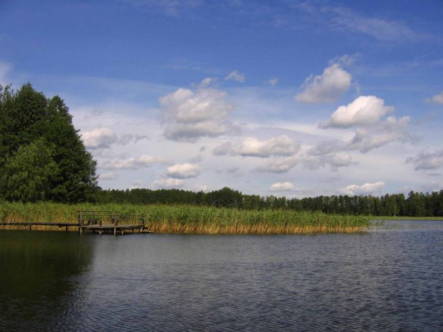 jeziorko - niestety w drodze powrotnej