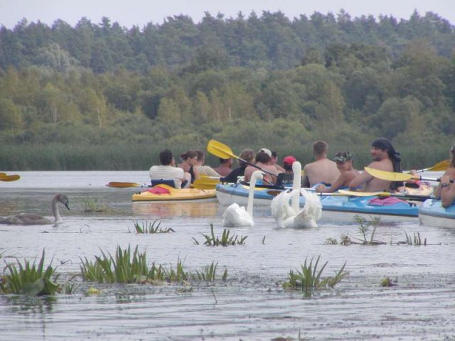 Brak tytułu