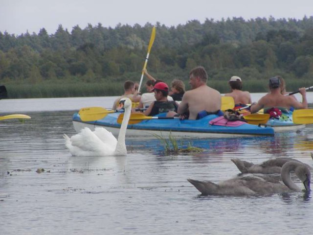 Brak tytułu