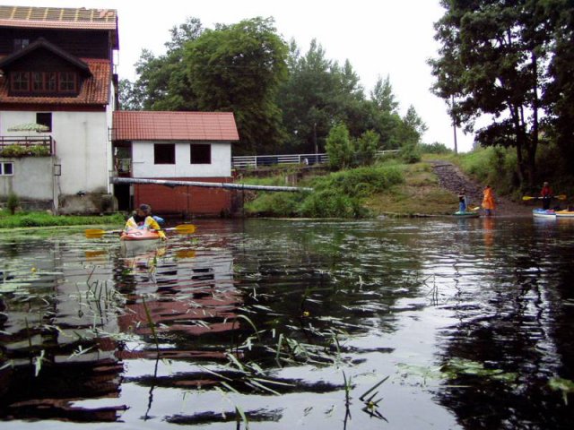 Brak tytułu