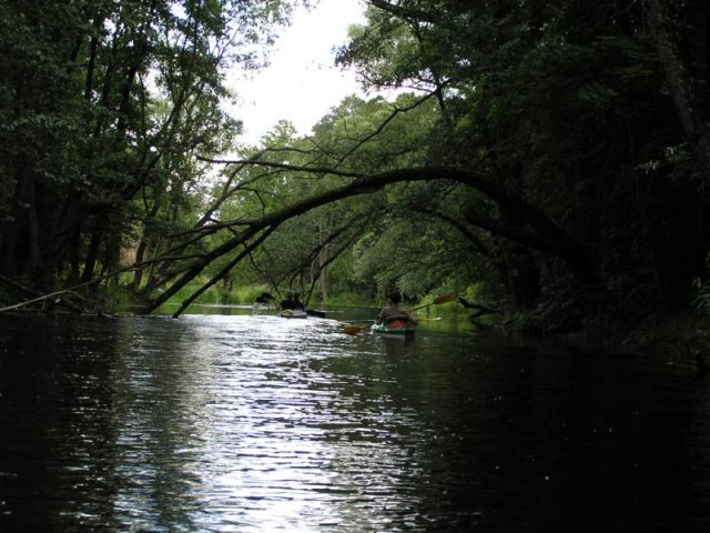 Brak tytułu