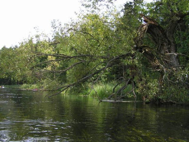 Brak tytułu