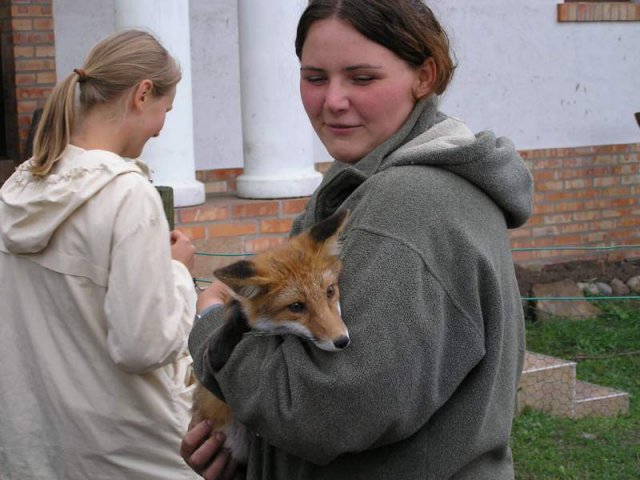 Brak tytułu