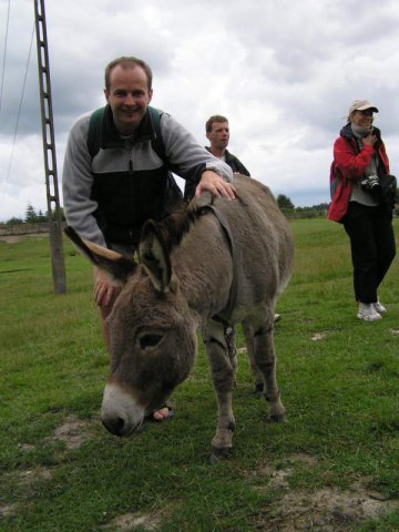 Brak tytułu