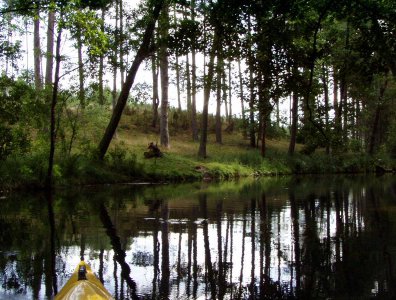 Zdjęcia z naszych spływów kajakowych - krutynia-1-10-08-2005