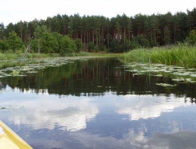 spływy kajakowe  - krutynia-1-10-08-2005