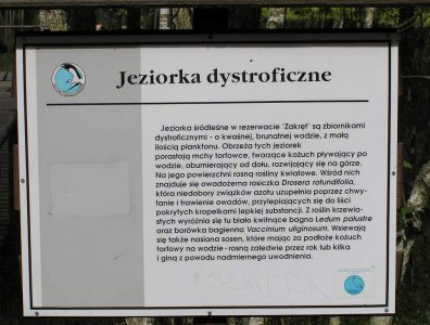 Zdjęcia z naszych spływów kajakowych - krutynia-1-10-08-2005