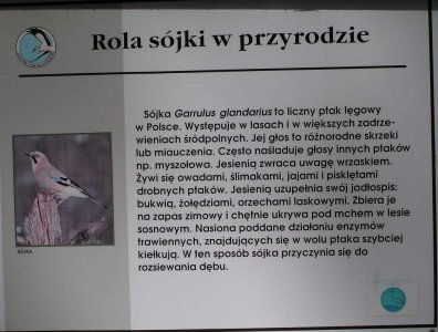 Zdjęcia z naszych spływów kajakowych - krutynia-1-10-08-2005