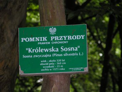 Zdjęcia z naszych spływów kajakowych - krutynia-1-10-08-2005