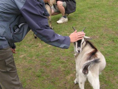 spływy kajakowe  - krutynia-1-10-08-2005