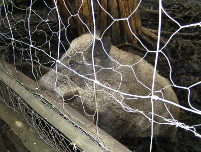 Zdjęcia z naszych spływów kajakowych - krutynia-1-10-08-2005