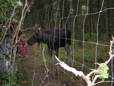Zdjęcia z naszych spływów kajakowych - krutynia-1-10-08-2005
