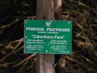 Zdjęcia z naszych spływów kajakowych - krutynia-1-10-08-2005