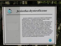 Zdjęcia z naszych spływów kajakowych - krutynia-1-10-08-2005
