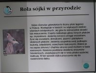 Zdjęcia z naszych spływów kajakowych - krutynia-1-10-08-2005