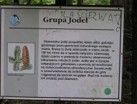 Zdjęcia z naszych spływów kajakowych - krutynia-1-10-08-2005