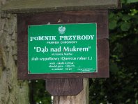Zdjęcia z naszych spływów kajakowych - krutynia-1-10-08-2005
