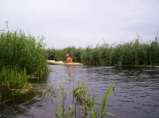 Brak tytułu