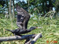 Zdjęcia z naszych spływów kajakowych - krutynia-17-07-26-07-2006-najbardziej-rozrywkowy-splyw-w-historii-firmy