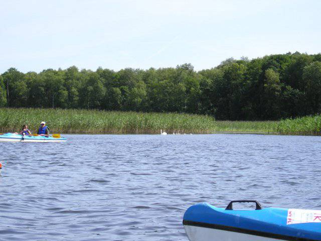 Brak tytułu