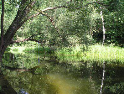 Zdjęcia z naszych spływów kajakowych - krutynia-20-07-27-07-2008