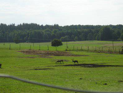 Zdjęcia z naszych spływów kajakowych - krutynia-20-07-27-07-2008