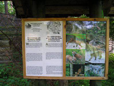 Zdjęcia z naszych spływów kajakowych - krutynia-20-07-27-07-2008