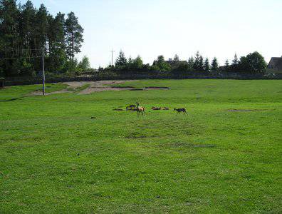 Zdjęcia z naszych spływów kajakowych - krutynia-20-07-27-07-2008