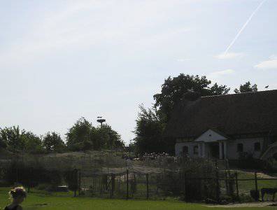 Zdjęcia z naszych spływów kajakowych - krutynia-20-07-27-07-2008