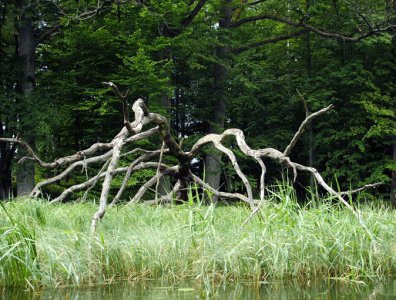 Zdjęcia z naszych spływów kajakowych - 2006-06-24-krutyn-ukta