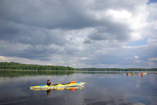 Brak tytułu