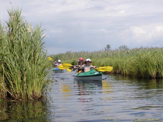 Brak tytułu