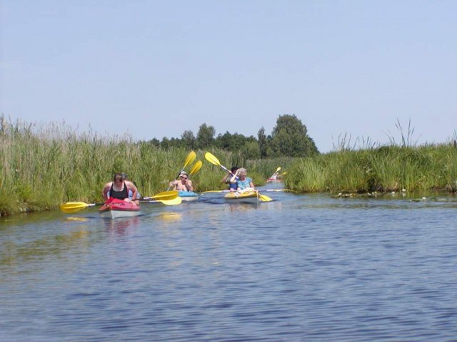 Brak tytułu