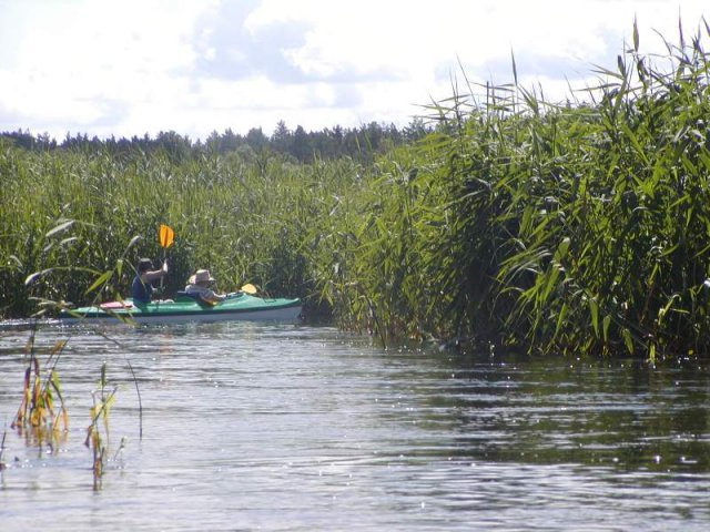 Brak tytułu