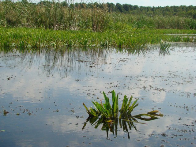 Brak tytułu