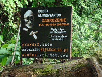 Zdjęcia z naszych spływów kajakowych - krutynia-16-23-08-2010