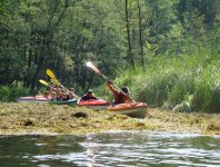 Zdjęcia z naszych spływów kajakowych - krutynia-16-23-08-2010