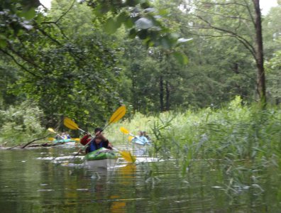 Zdjęcia z naszych spływów kajakowych - krutynia-03-10-07-2011