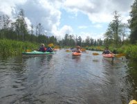 Brak tytułu