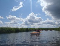 Brak tytułu