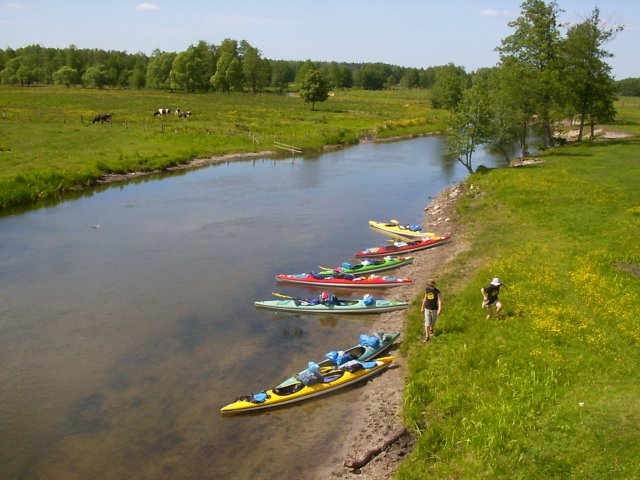 Pisa Marzeń