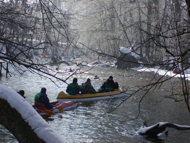 Brak tytułu