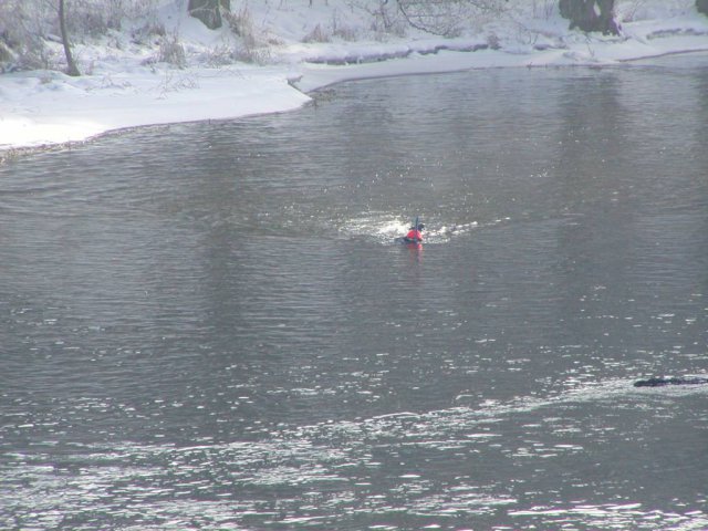 Brak tytułu