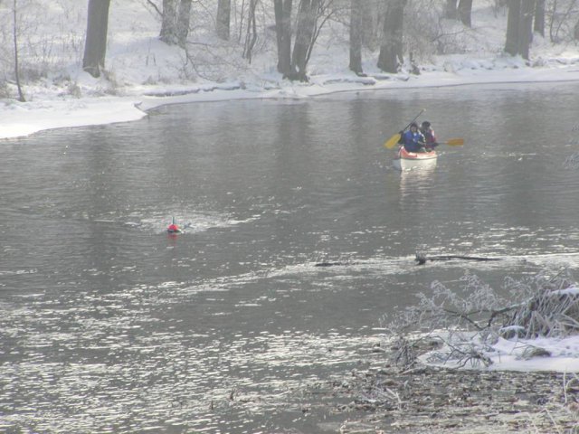 Brak tytułu